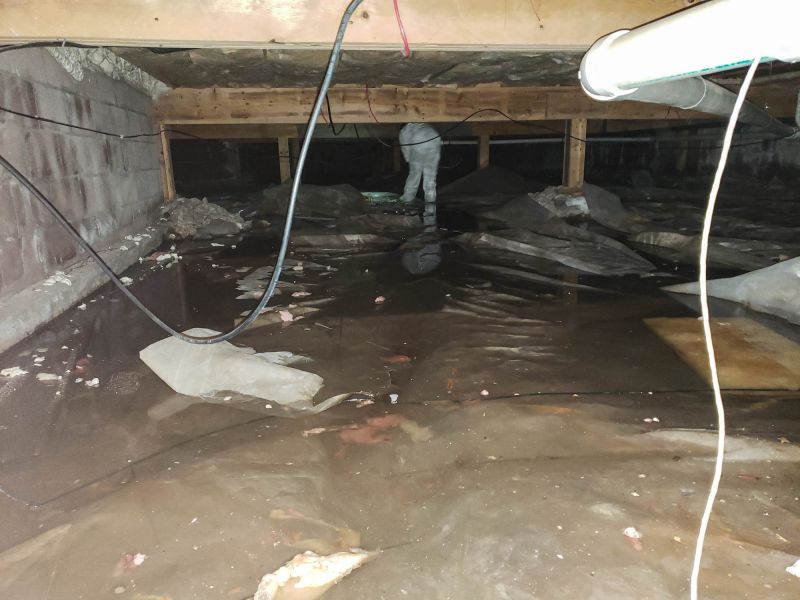 Basement Flood Remediation