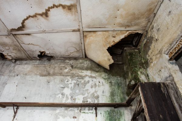 Water Damage Service in Collierville