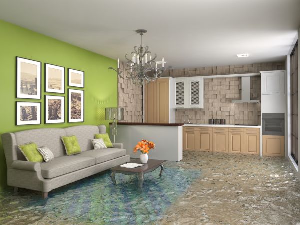 Wet Carpet Drying in Collierville