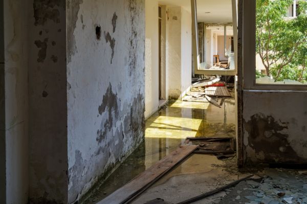 Water Removal Service in Collierville