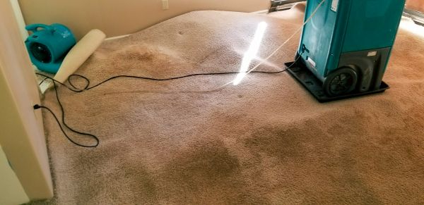 Carpet Water Extraction in Collierville