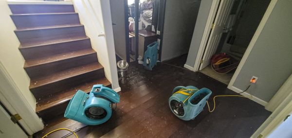 Water Damage Remediation in Collierville