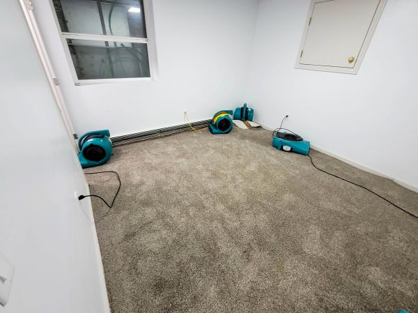Flood Restoration Service in Collierville