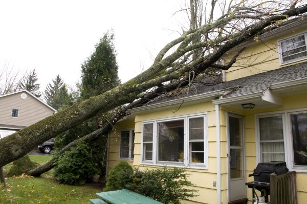 Hurricane Damage Repair in Collierville