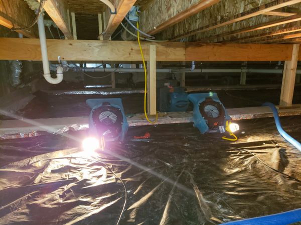 Crawlspace Water Removal in Collierville